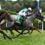 Whitebeam, horse, Caravaggio, Diana Stakes, sábado, 15 de julio de 2023, Saratoga. Foto: Coglaniese Photo