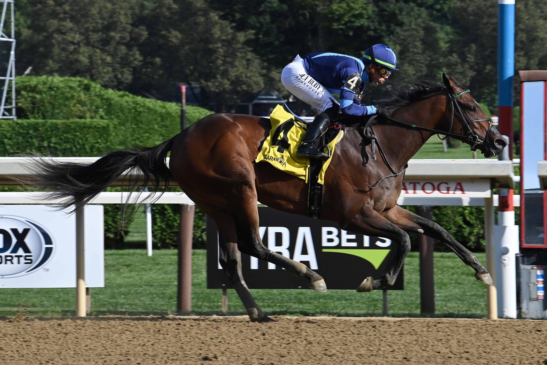 Brightwork, horse, Outwork, Adirondack Stakes, domingo, 6 de agosto de 2023, Saratoga. Foto: Coglaniese Photo & Susie Raisher