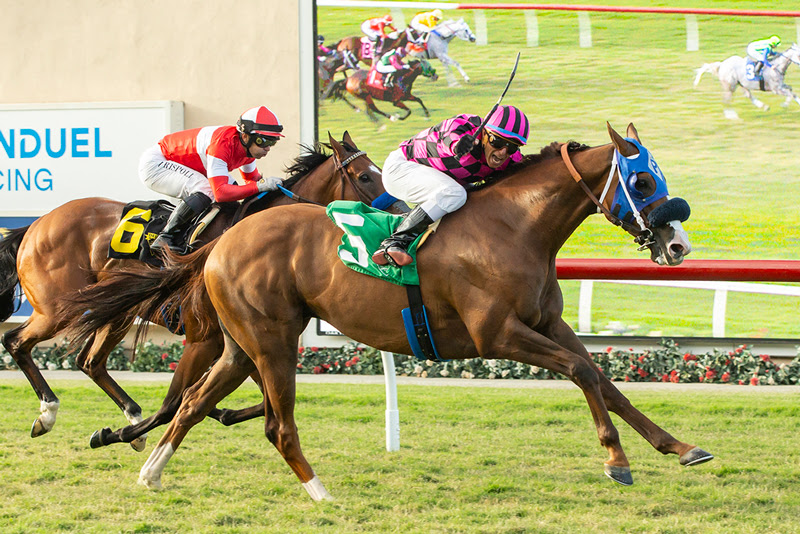 Carmelita´Man, Horses, Mucho Macho Man, California Dreamin´ Stakes, sábado, 5 de agosto de 2023, Santa Anita Park. Foto: Benoit Photo