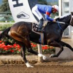 Con Compañía, horse, Awesome Patriot, Clásico República del Perú, jueves, 18 de agosto de 2023, Hipódromo Chile. Foto: Jaime Cortés