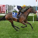 Elusive Princess, horse, Martinborough (JPN), Saratoga Oaks Invitational, viernes, 4 de agosto de 2023, Saratoga. Foto: Coglaniese Photo & Susie Raisher