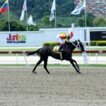 Fast Sensations, horse, Haras Los Caracaros, Clásico Simón Rodríguez, domingo, 6 de agosto de 2023, La Rinconada. Foto: José Antonio Aray