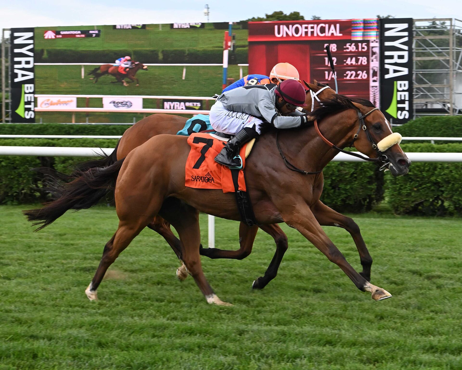 L J´s Emma, horse, Into Mischief, Galway Stakes, sábado, 12 de agosto de 2023, Saratoga. Foto: Coglaniese Photo & Susie Raisher