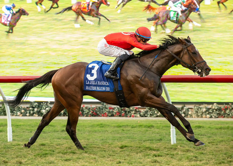 Maltese Falcon, Horses, Caravaggio, La Jolla Hándicap, domingo, de agosto de 2023, Santa Anita Park. Foto: Benoit Photo