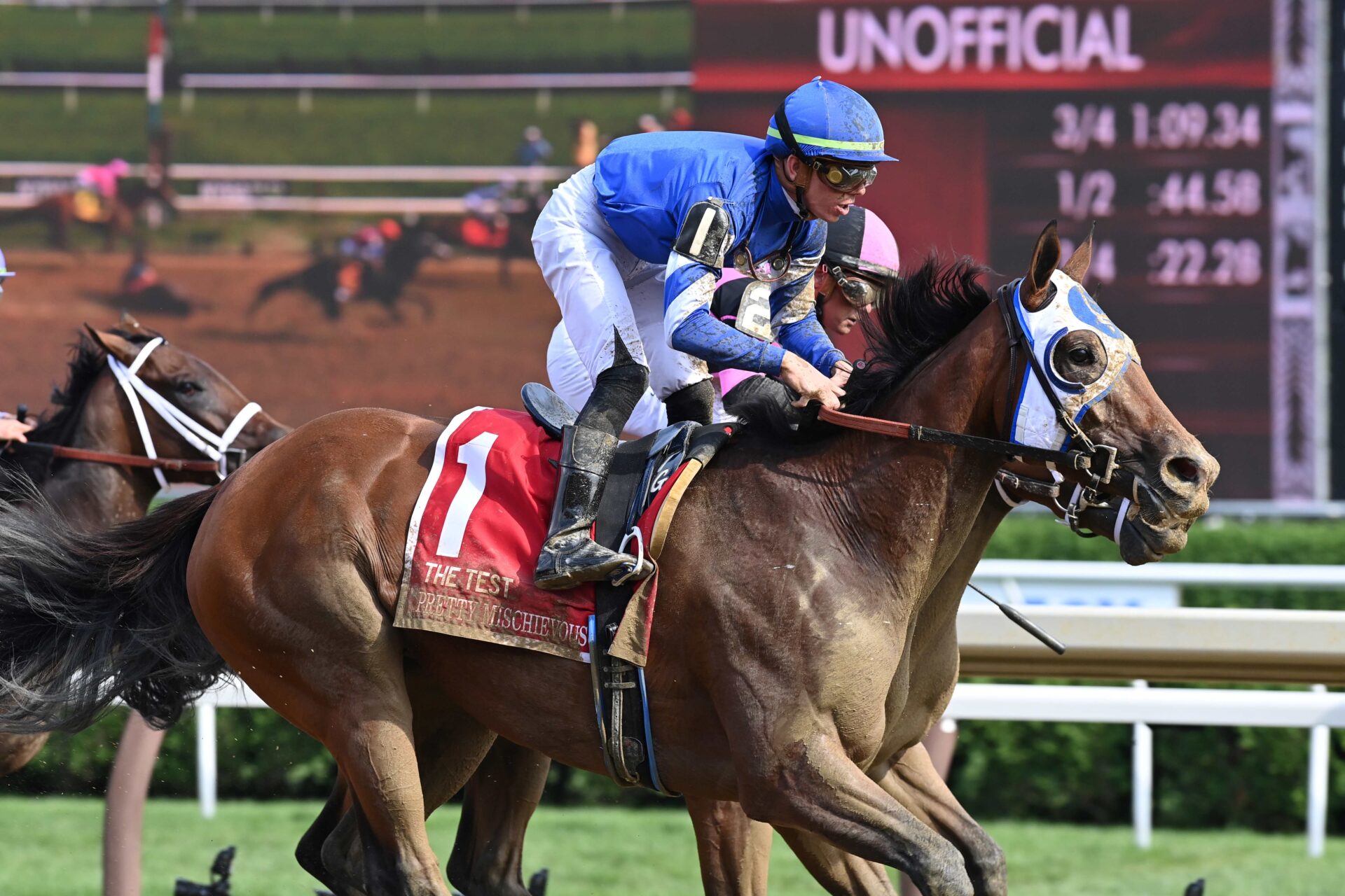 Pretty Mischievous, horses, Into Mischief, Longines Test Stakes, sábado, 5 de agosto de 2023, Saratoga. Foto: Coglaniese Photo
