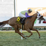 Prince Abama, Horses, Tamayuz (IRE), Hollywood Turf Cup Stakes, viernes, 25 de noviembre de 2022, Del Mar. Foto: Benoit Photo
