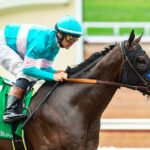 Prince Of Monaco, horse, Speightstown, Best Pal Stakes, sábado, 13 de agosto de 2023, Del Mar. Foto: Benoit Photo