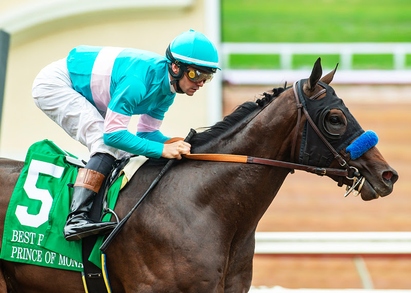 Prince Of Monaco, horse, Speightstown, Best Pal Stakes, sábado, 13 de agosto de 2023, Del Mar. Foto: Benoit Photo
