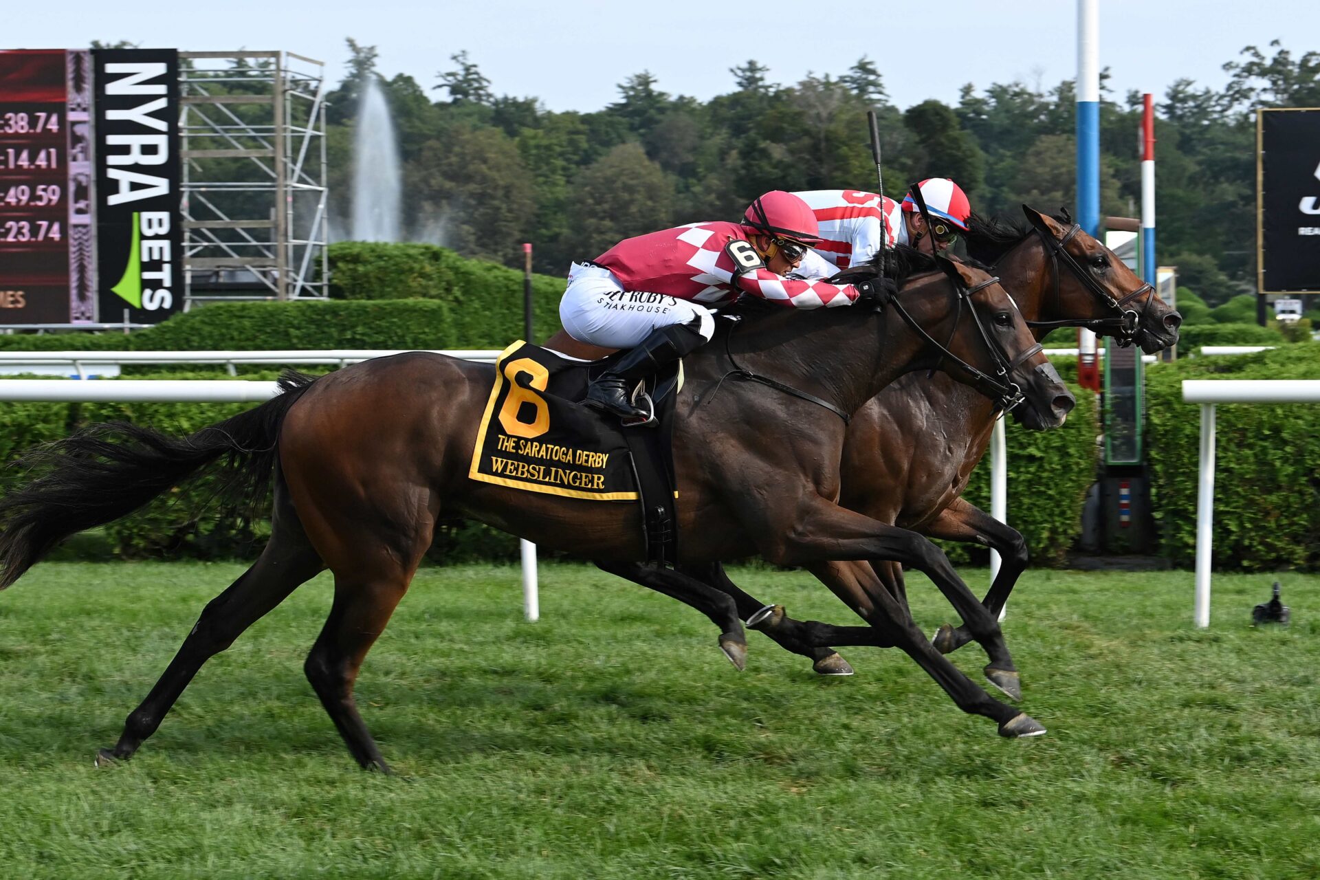 Program Trading, horse, Lope De Vega, Saratoga Derby Invitational, sábado, 5 de agosto de 2023, Saratoga. Foto: Coglaniese Photo & Susie Raisher