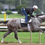 Tapit Trice, Tapit, Runhappy Travers Stakes, sábado, 19 de agosto de 2023, Saratoga. Foto: Coglaniese Photo & Susie Raisher