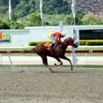 The Judge, horse, Haras El Centauro, Clásico My Own Business, domingo, 6 de agosto de 2023, La Rinconada. Foto: José Antonio Aray