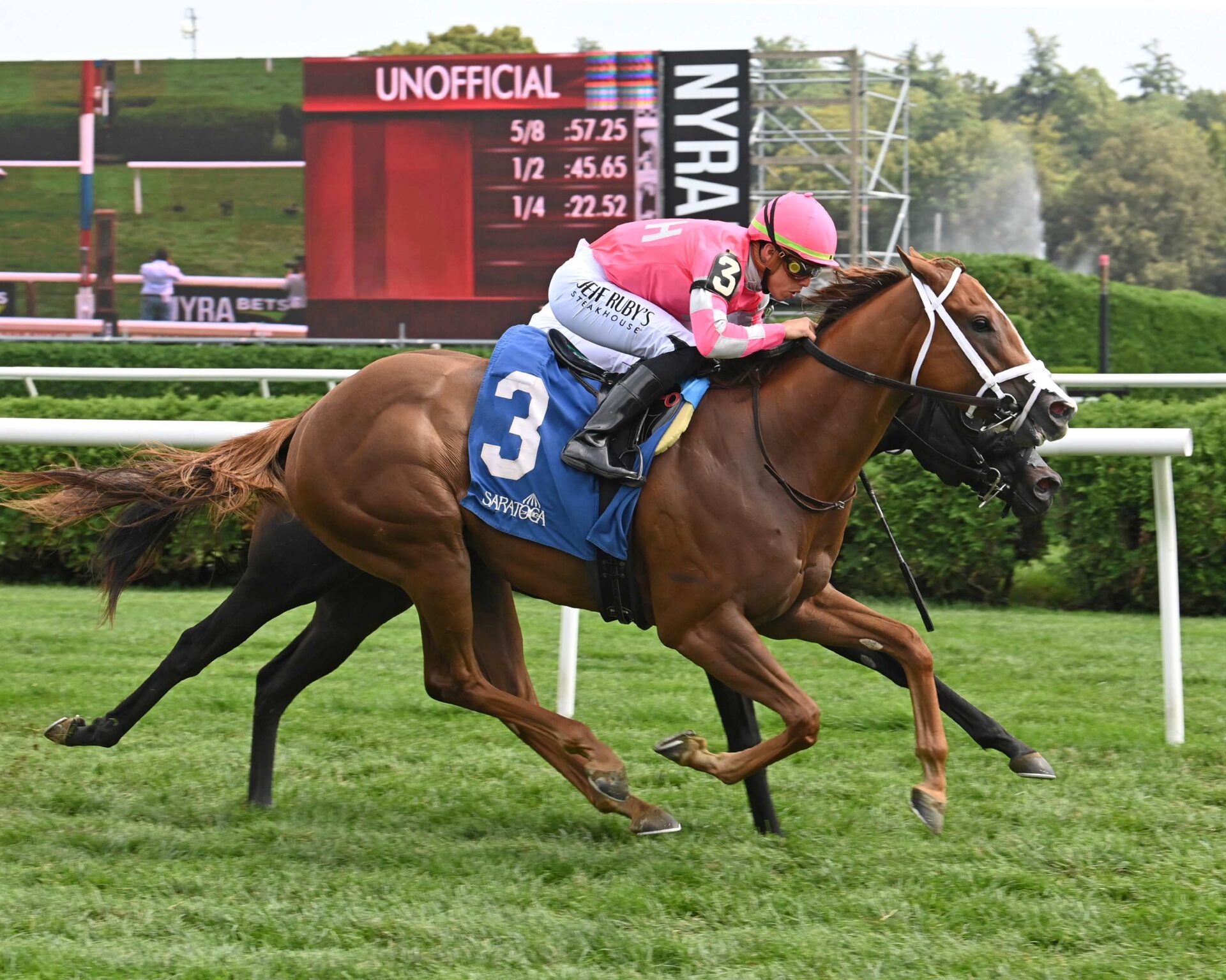 Amidst Waves, horse, Midshipman, Bolton Landing Stakes, domingo, 20 de agosto de 2023, Saratoga. Foto: Coglaniese Photo & Susie Raisher