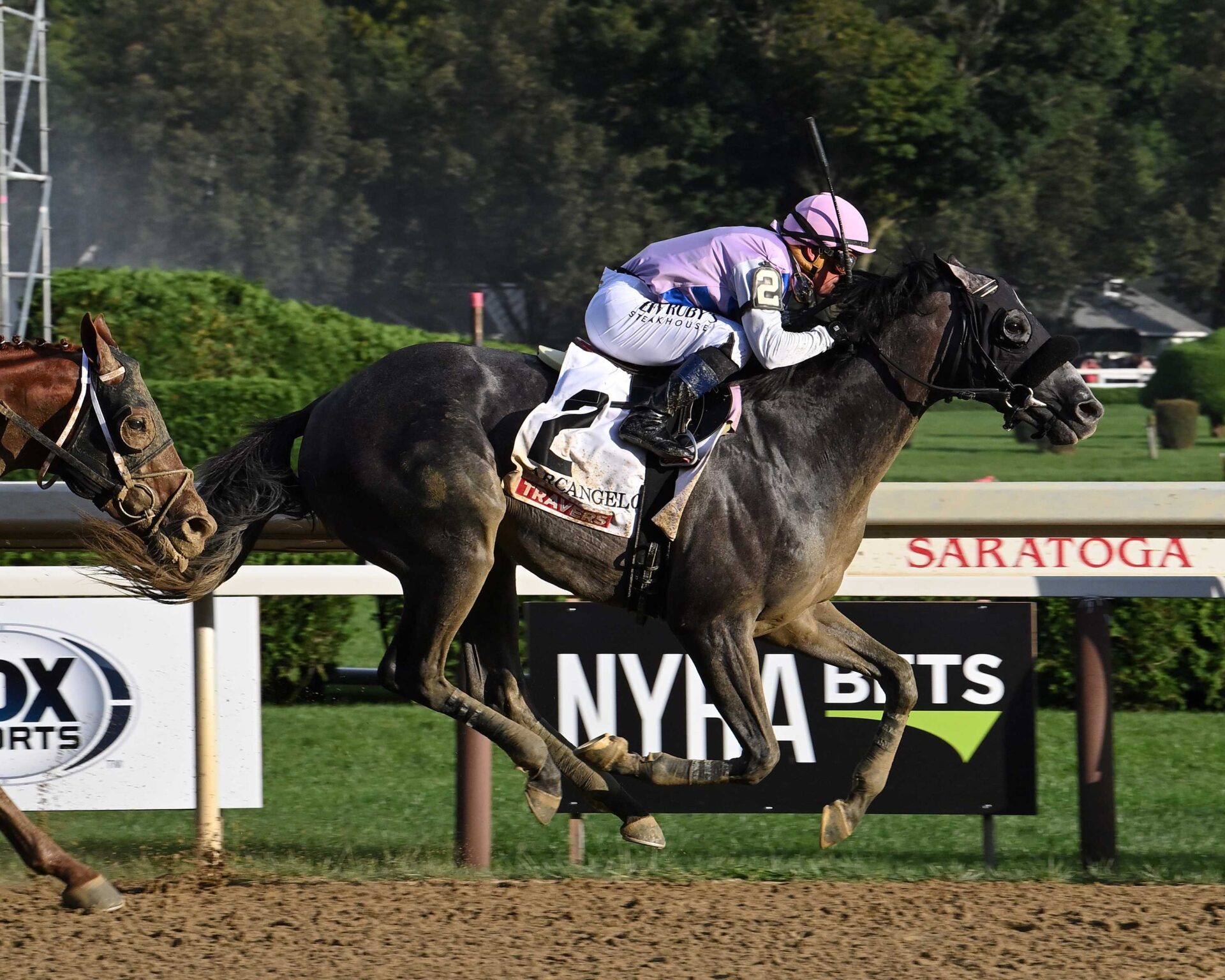 Arcangelo, horse, Arrogate, Travers Stakes, sábado, 26 de agosto de 2023, Saratoga. Foto: Coglaniese Photo & Susie Raisher