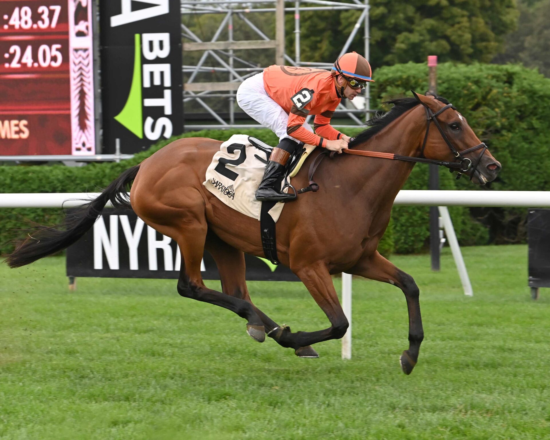 Aspray, horse, Quality Road, Lake Placid Stakes, sábado, 19 de agosto de 2023, Saratoga. Foto: Coglaniese Photo & Susie Raisher