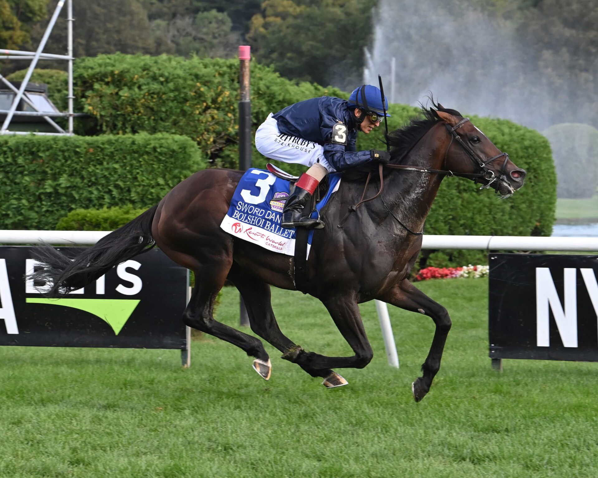 Bolshoi Ballet, horse, Galileo, Sword Dancer Stakes, sábado, 26 de agosto de 2023, Saratoga. Foto: Coglaniese Photo