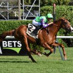 Carl Spackler, horse, Lope De Vega (IRE), National Museum Of Racing Hall of Fame Stakes, viernes, 11 de agosto de 2023, Saratoga. Foto: Coglaniese Photo & Susie Raisher