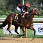 Echo Zulu, horse, Gun Runner, Ballerina Stakes, sábado, 26 de agosto de 2023, Saratoga. Foto: Coglaniese Photo