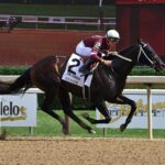 Guinte, horse, Gun Runner, Forego Stakes, sábado, 26 de agosto de 2023, Saratoga. Foto: Coglaniese Photo & Susie Raisher