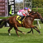 McKulick, horse, Frankel, Glens Falls Stakes, jueves, 3 de agosto de 2023, Saratoga. Foto: Coglaniese Photo & Susie Raisher