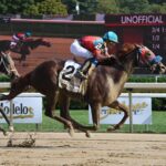 One In Vermillion, horse, Army Mule, H. Allen Jerkens Stakes, sábado, 26 de agosto de 2023, Saratoga. Foto: Coglaniese Photo