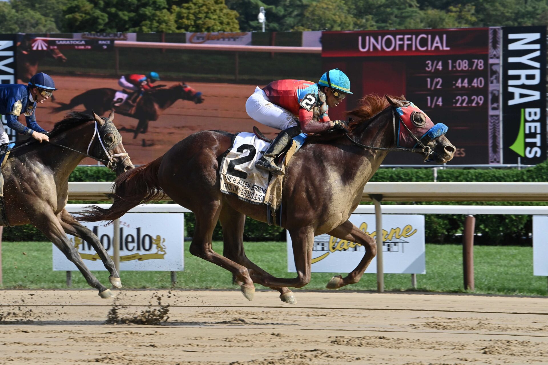 One In Vermillion, horse, Army Mule, H. Allen Jerkens Stakes, sábado, 26 de agosto de 2023, Saratoga. Foto: Coglaniese Photo