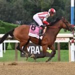 Randomized, horse, Nyquist, Alabama Stakes, sábado, 19 de agosto de 2023, Saratoga. Foto: Coglaniese Photo & Susie Raisher