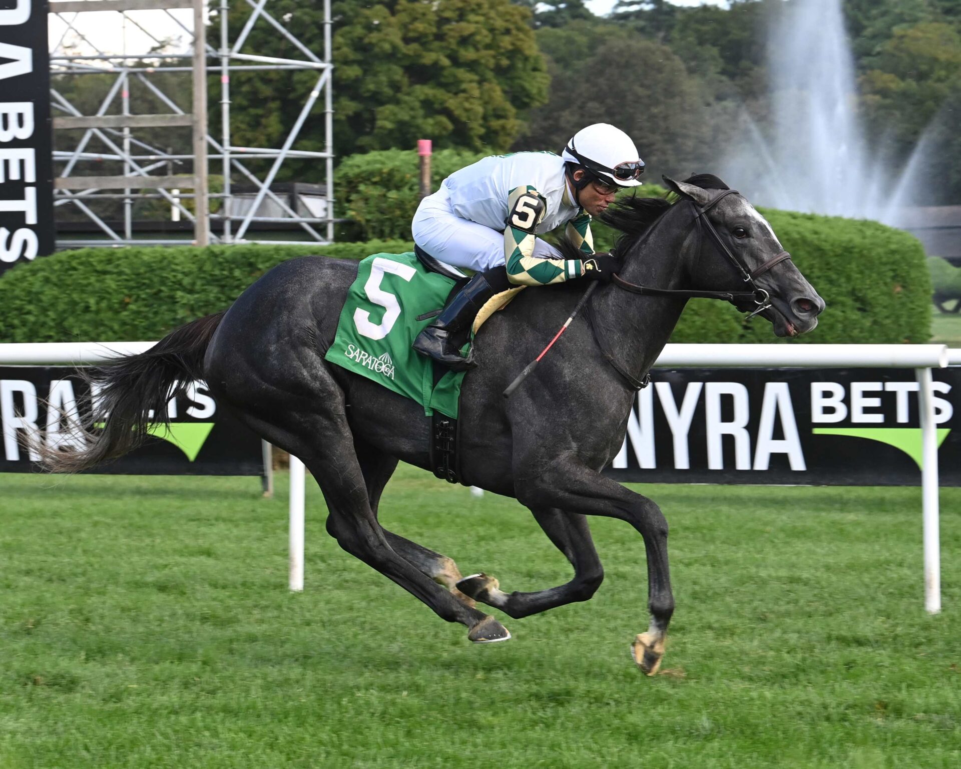 Silver Skillet, horse, Liam´s Map, Suzie O´Cain Stakes, miércoles, 16 de agosto de 2023, Saratoga. Foto: Coglaniese Photo & Susie Raisher