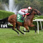Technical Analysis, horse, Kingman (GB), De La Rosa Stakes, sábado, 2 de agosto de 2023, Saratoga. Foto: Coglaniese Photo & Susie Raisher