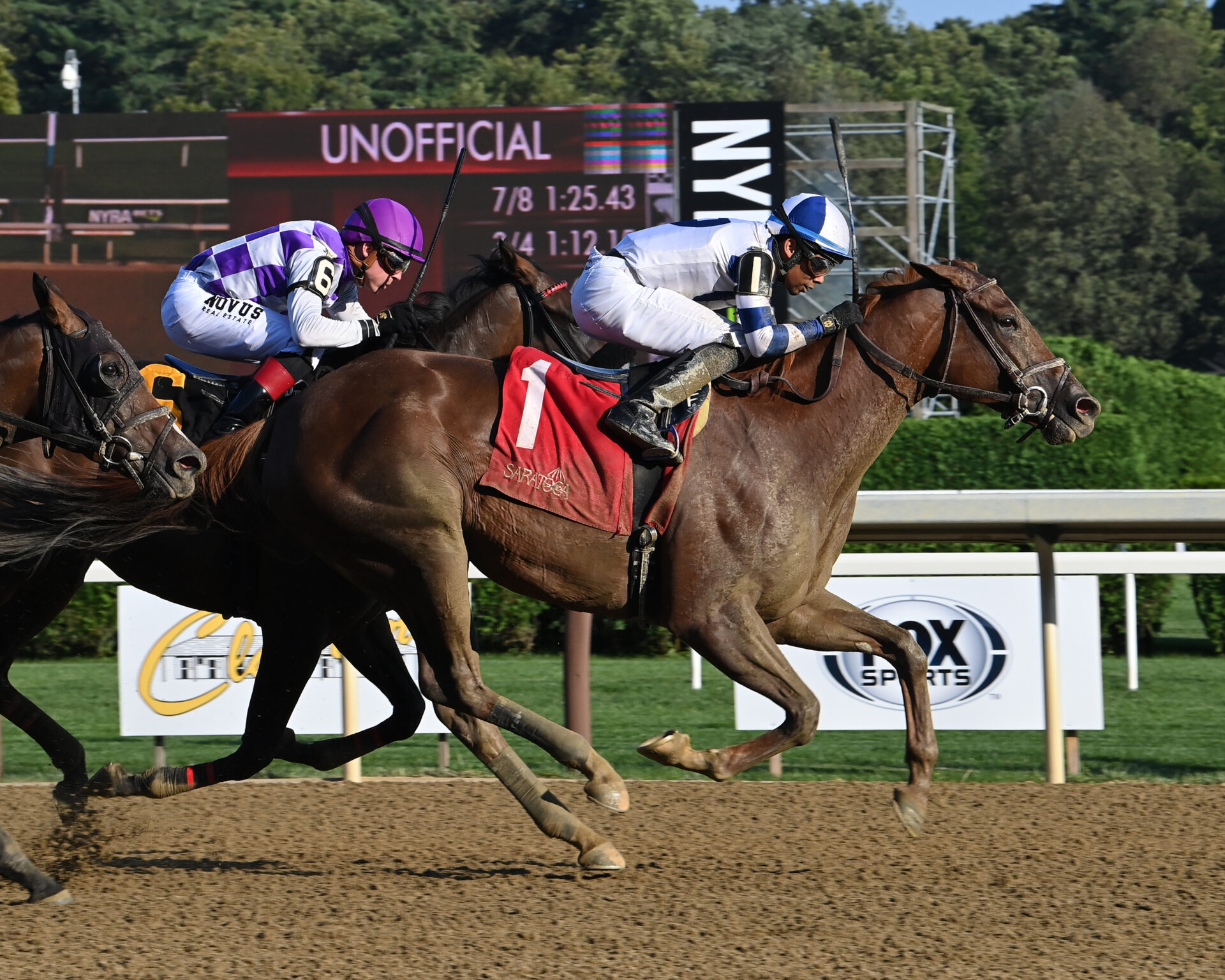 Venti Valentine, horse, Firing Line, Johnstone Mile Hándicap, miércoles, 9 de agosto de 2023, Saratoga. Foto: Coglaniese Photo & Susie Raisher