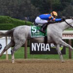 White Abarrio, horse, Race Day, Whitney Stakes, sábado, 5 de agosto de 2023, Saratoga. Foto: Coglaniese Photo & Susie Raisher