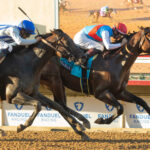 Arabian Knight, horse, Uncle Mo, Pacific Classic, sábado, 2 de septiembre de 2023, Del Mar. Foto: Benoit Photo