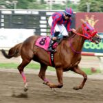 Dr. G, horse, Goldencents, Clásico Junta de Control de Juegos, domingo, 17 de septiembre de 2023, Presidente Remón. Foto: Erick Ruiz Prensa CODERE Panamá