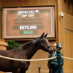 Yearling, 1511, Potro, Authentic, sesión 5, Keeneland Sales, sábado, 16 de septiembre de 2023, Keeneland. Foto: Keeneland