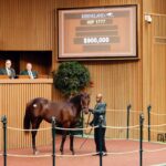 Yearling, 1777, Potro, Constitution en Low Pressure Zone por Curlin, sesión 6, Keeneland Sales, domingo, 17 de septiembre de 2023, Keeneland. Foto: Keeneland