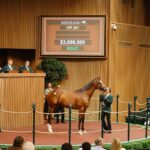 Yearling, 261, Potro, Into Mischief en Nonna Mia por Empire Maker, sesión 2, Keeneland Sales, martes, 12 de septiembre de 2023, Keeneland. Foto: Keeneland