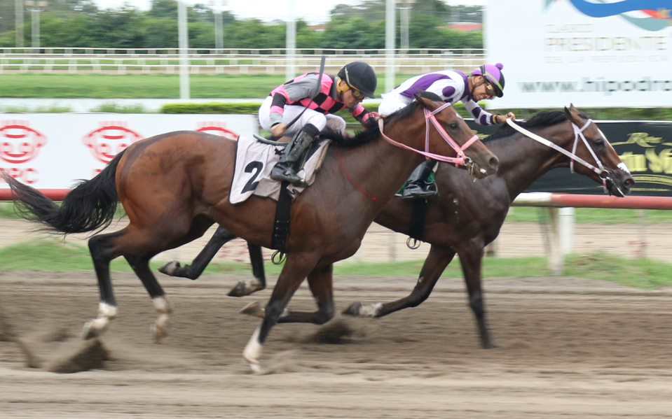 Itamut, horse, Good Samaritan, Clásico Familia Fernández, domingo, 3 de septiembre de 2023, La Rinconada. Foto: Erick Ruiz Prensa CODERE Panamá