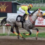 Lucky Boy, horse, Evaristo, Clásico Raúl Espinoza Copa De Oro, domingo, 17 de septiembre de 2023, Presidente Remón. Foto: Erick Ruiz Prensa CODERE Panamá
