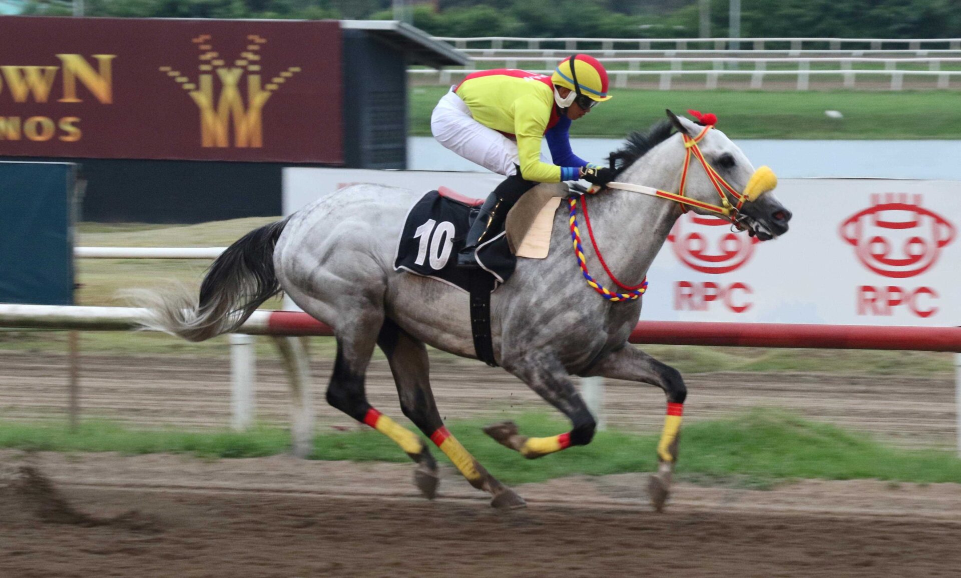 Lucky Boy, horse, Evaristo, Clásico Raúl Espinoza Copa De Oro, domingo, 17 de septiembre de 2023, Presidente Remón. Foto: Erick Ruiz Prensa CODERE Panamá