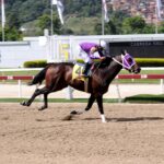 Li Tre Fratelli, horse, Haras Urama, Clásico Millard Ziadie, domingo, 17 de septiembre de 2023, La Rinconada. Foto: José Antonio Aray