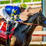 Prince Of Monaco, horse, Speightstown, Runhappy Del Mar Futurity, domingo, 10 de septiembre de 2023, Del Mar. Foto: Benoit Photo