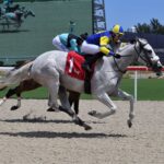 Queen Macha, horse, Calumet Farm, Jockey Cipriano Gil, Claiming, domingo, 10 de septiembre de 2023, Gulfstream Park. Foto: Coglaniese Photo & Lauren King