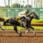 Yuki, Horses, Haras Lizzie, Dark Mirage Stakes, sábado, 23 de septiembre de 2023, Los Alamitos. Foto: Benoit Photo