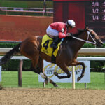 Alva Starr, horses, Lord Nelson, Prioress Stakes, sábado, 2 de septiembre de 2023, Saratoga. Foto: Coglaniese Photo & Susie Raisher