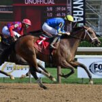 Caldwell Luvs Gold, horse, Goldencents, Seeking The Ante Stakes, domingo, 27 de agosto de 2023, Saratoga. Foto: Coglaniese Photo & Susie Raisher