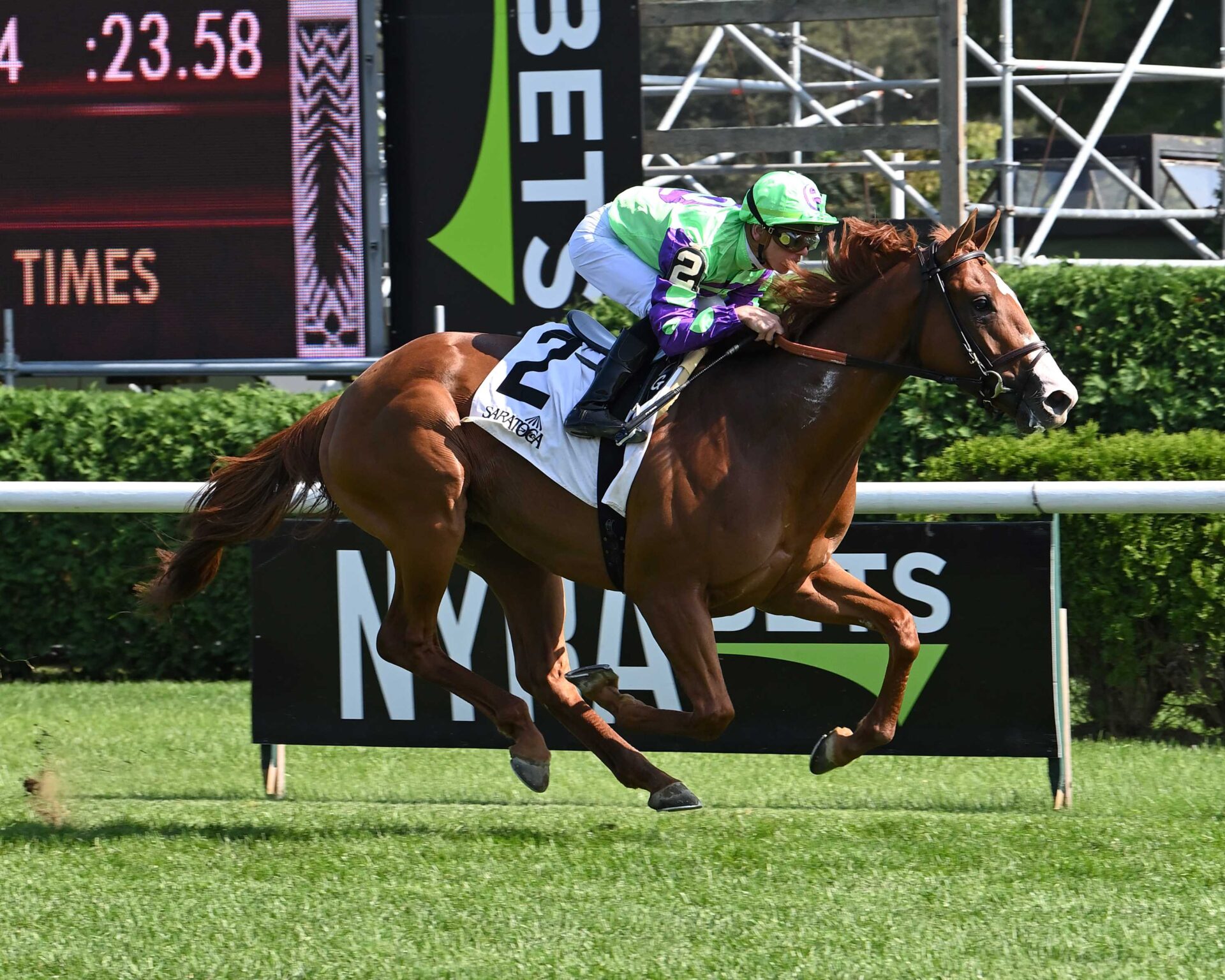 Carl Spackler, horse, Lope De Vega (IRE), Saranac Stakes, viernes, 1 de septiembre de 2023, Saratoga. Foto: Coglaniese Photo & Susie Raisher