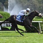 City Man, horse, Mucho Macho Man, West Point Stakes, domingo, 27 de agosto de 2023, Saratoga. Foto: Coglaniese Photo & Susie Raisher