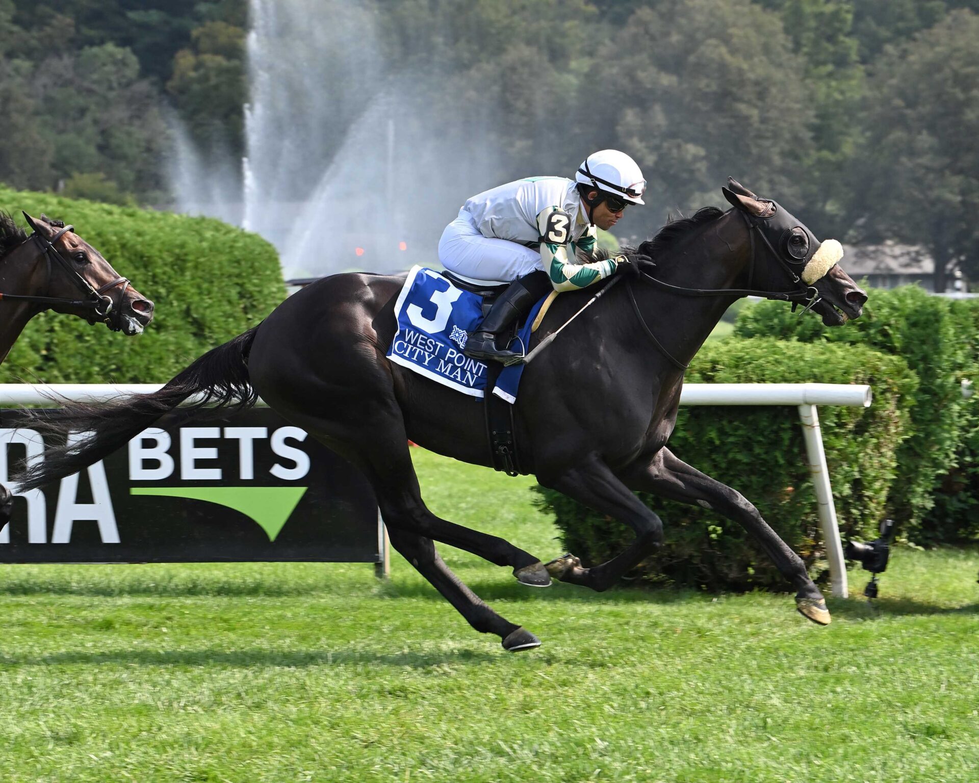 City Man, horse, Mucho Macho Man, West Point Stakes, domingo, 27 de agosto de 2023, Saratoga. Foto: Coglaniese Photo & Susie Raisher
