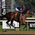 Drake´s Passage, horse, Tonalist, Albany Stakes, domingo, 27 de agosto de 2023, Saratoga. Foto: Coglaniese Photo & Susie Raisher