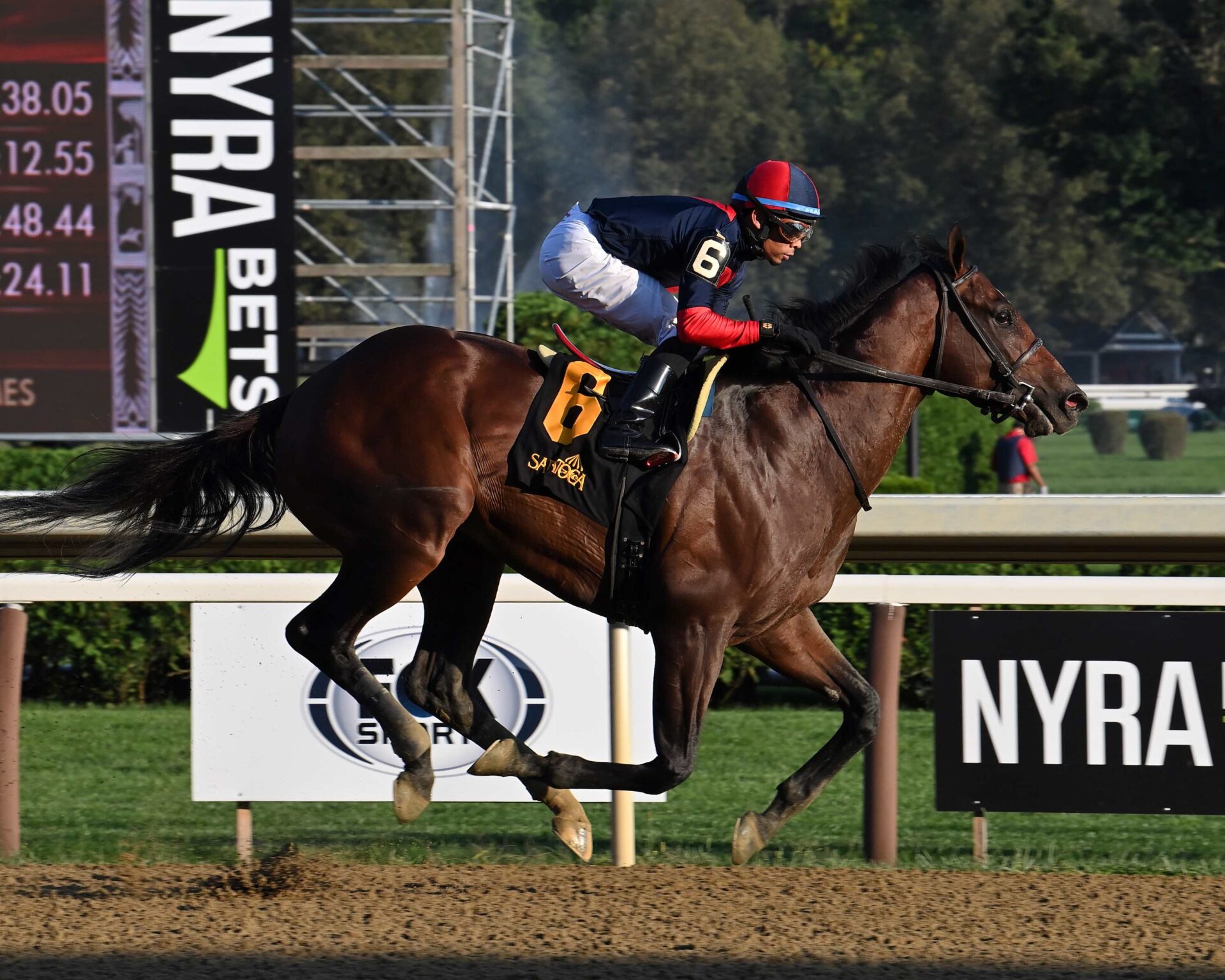 Drake´s Passage, horse, Tonalist, Albany Stakes, domingo, 27 de agosto de 2023, Saratoga. Foto: Coglaniese Photo & Susie Raisher