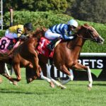 Gala Brand, horse, Violence, With Anticipation Stakes, jueves, 31 de agosto de 2023, Saratoga. Foto: Coglaniese Photo & Susie Raisher